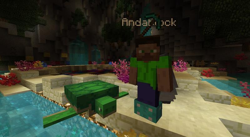 Anda mit Schildkröte als Pet