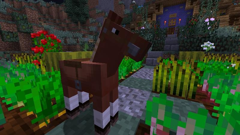 Kleines Pferd am Wildnis-Warp